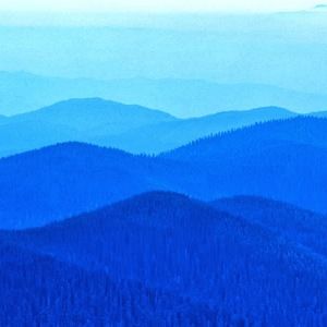 Meet your Posher, Katrinah